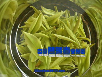 茶叶价格 茶叶型号规格