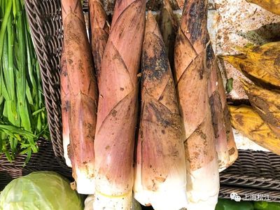 冬日一口鲜!这道时令美食,你家安排了吗?