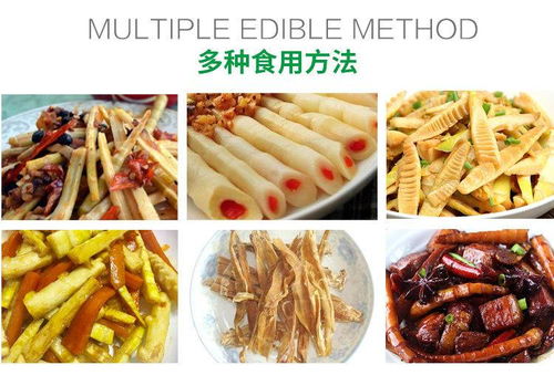竹笋冬笋春笋雷笋尖子新鲜现挖蔬菜类浙江临安天目山特产嫩竹笋多规格