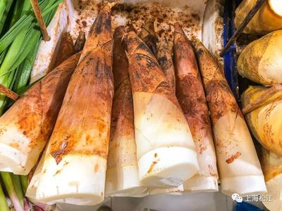 冬日一口鲜!这道时令美食,你家安排了吗?