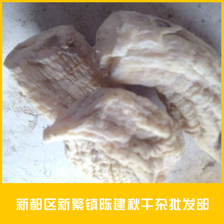 安吉笋