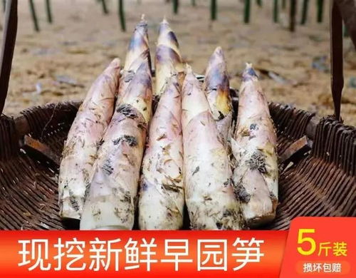 爱心助农快捷乐购 蔬果预约推出新服务 从田间地头配送到你家门口
